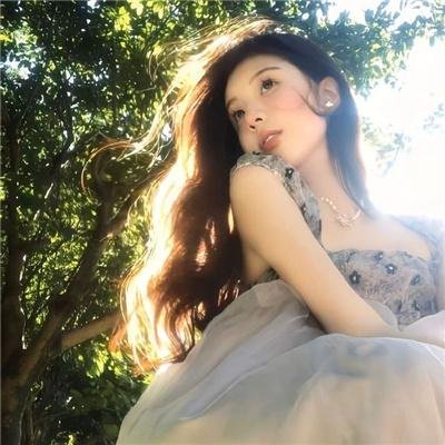 飞翔闪耀
