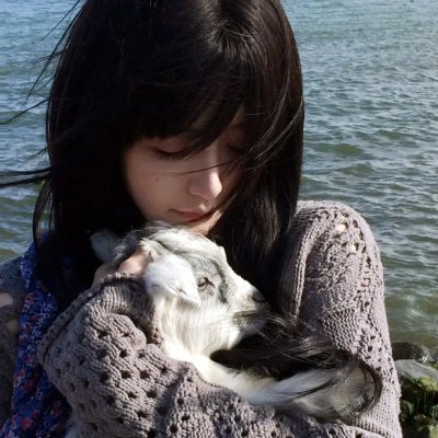 实习警犬物语